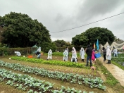 Board Member Visit to ODRN Activity - Volunteer service of harvesting crops and giving to those in need<BR>-002